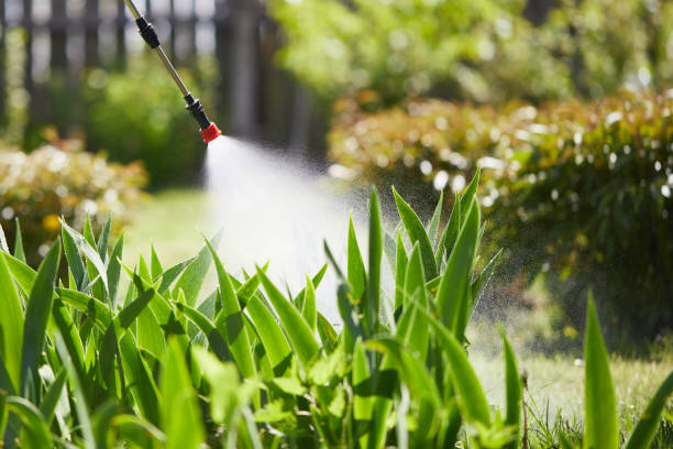 24/7 Emergency Wasp Removal experts in Canonsburg, PA